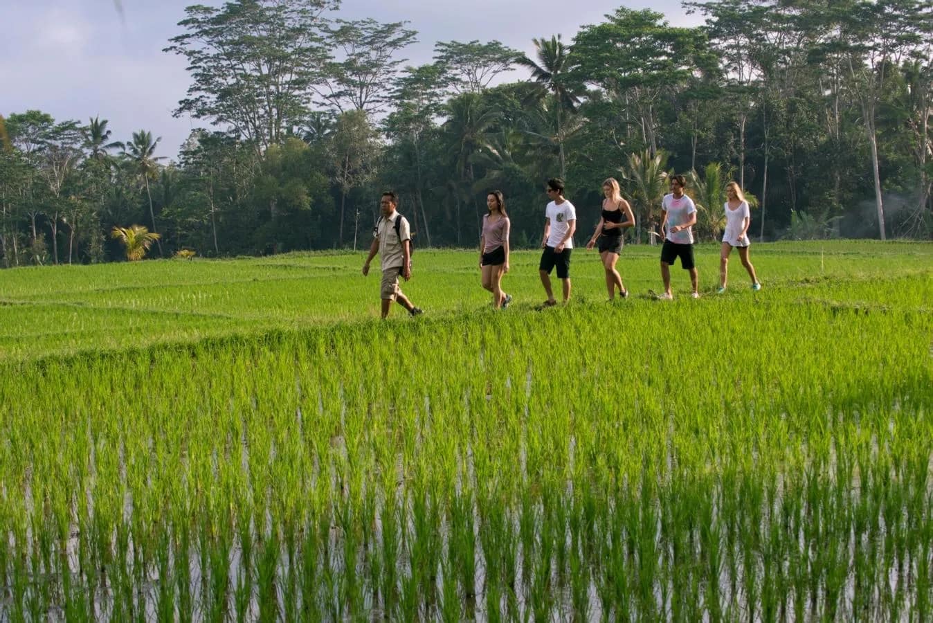 Media Mason Adventure in Ubud 2