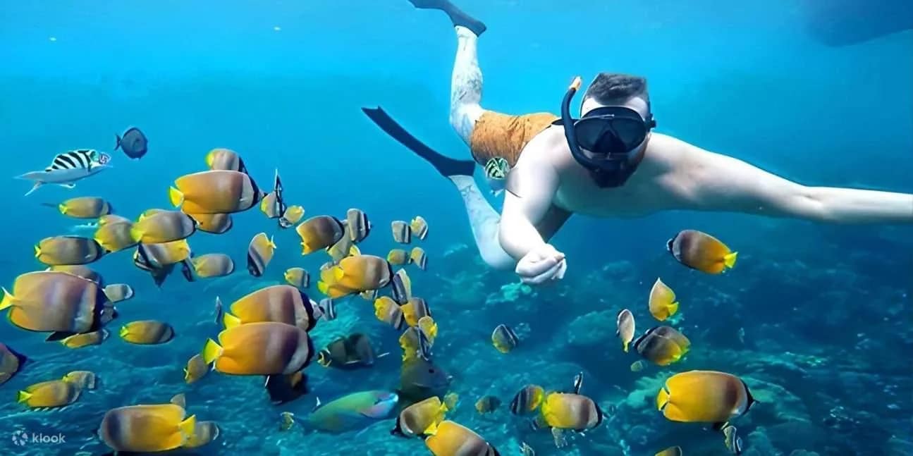 Nico Dives Cool in Sanur media 2