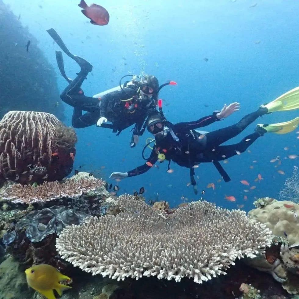 Nico Dives Cool in Sanur media 3
