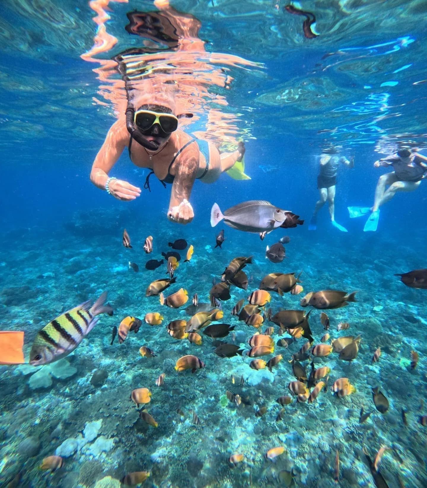 Nico Dives Cool in Sanur media 4