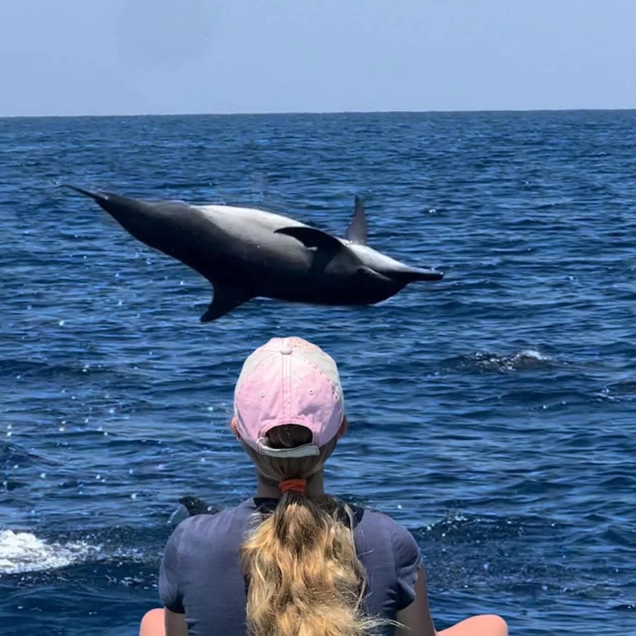 Dolphin Lovina Tour in Buleleng media 5