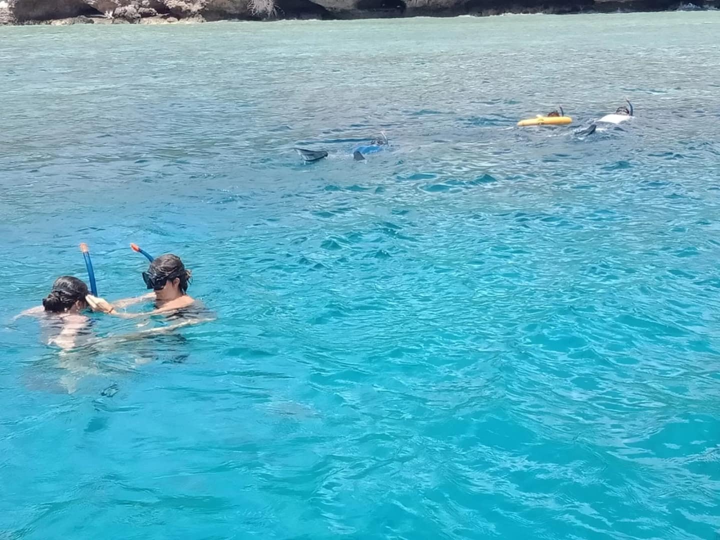Media 3 ng Snorkeling Menjangan in Buleleng