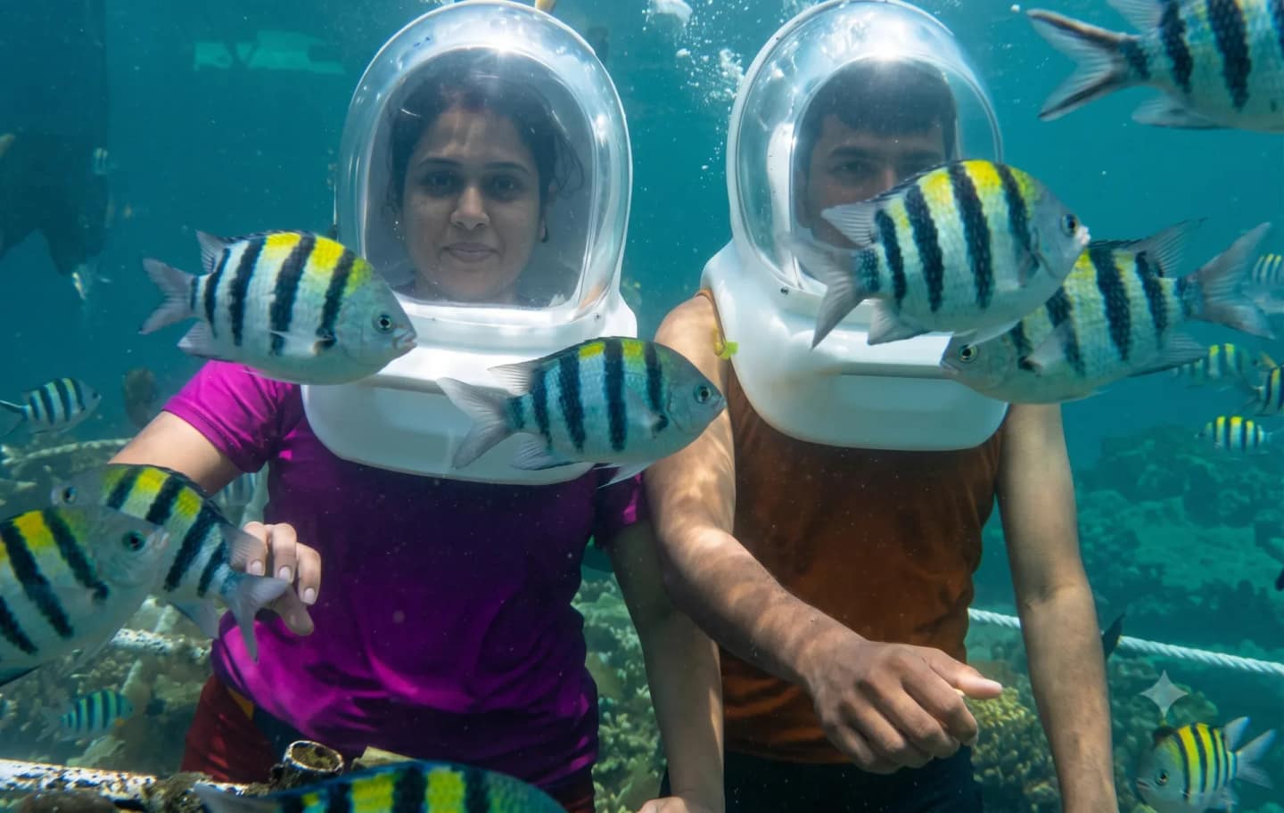 Pandan Sari Dive and Watersports in Tanjung Benoa