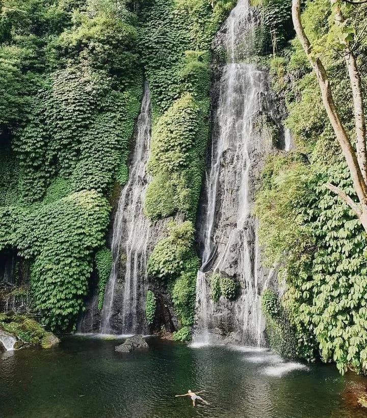 Bali Dolphin, Waterfall & Temple Experience media 2