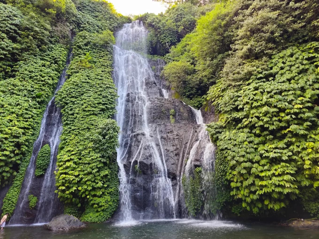 Bali Dolphin, Waterfall & Temple Experience media 3