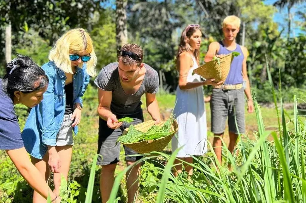 Authentic Balinese Cooking & Market Tour media 3
