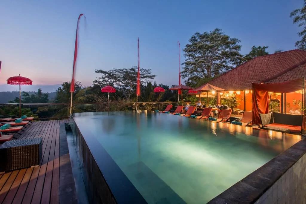 Jungle Retreat