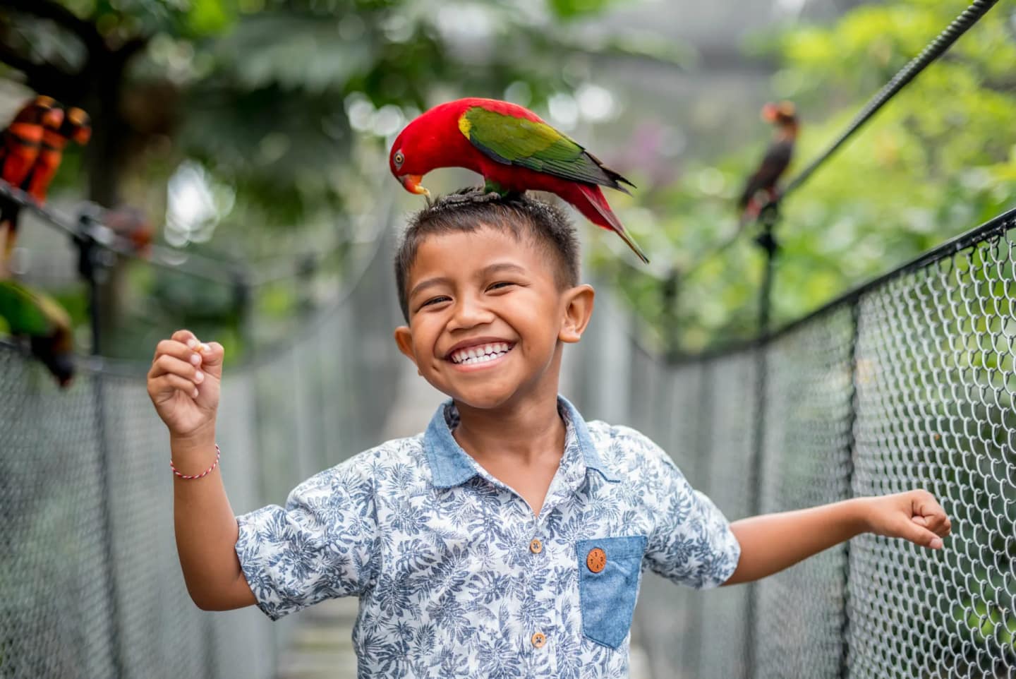 Media Bali Bird Park in Gianyar 5