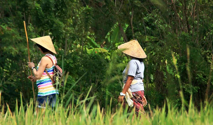 Taman Sari Buwana Local Life Experience in Tabanan media 5