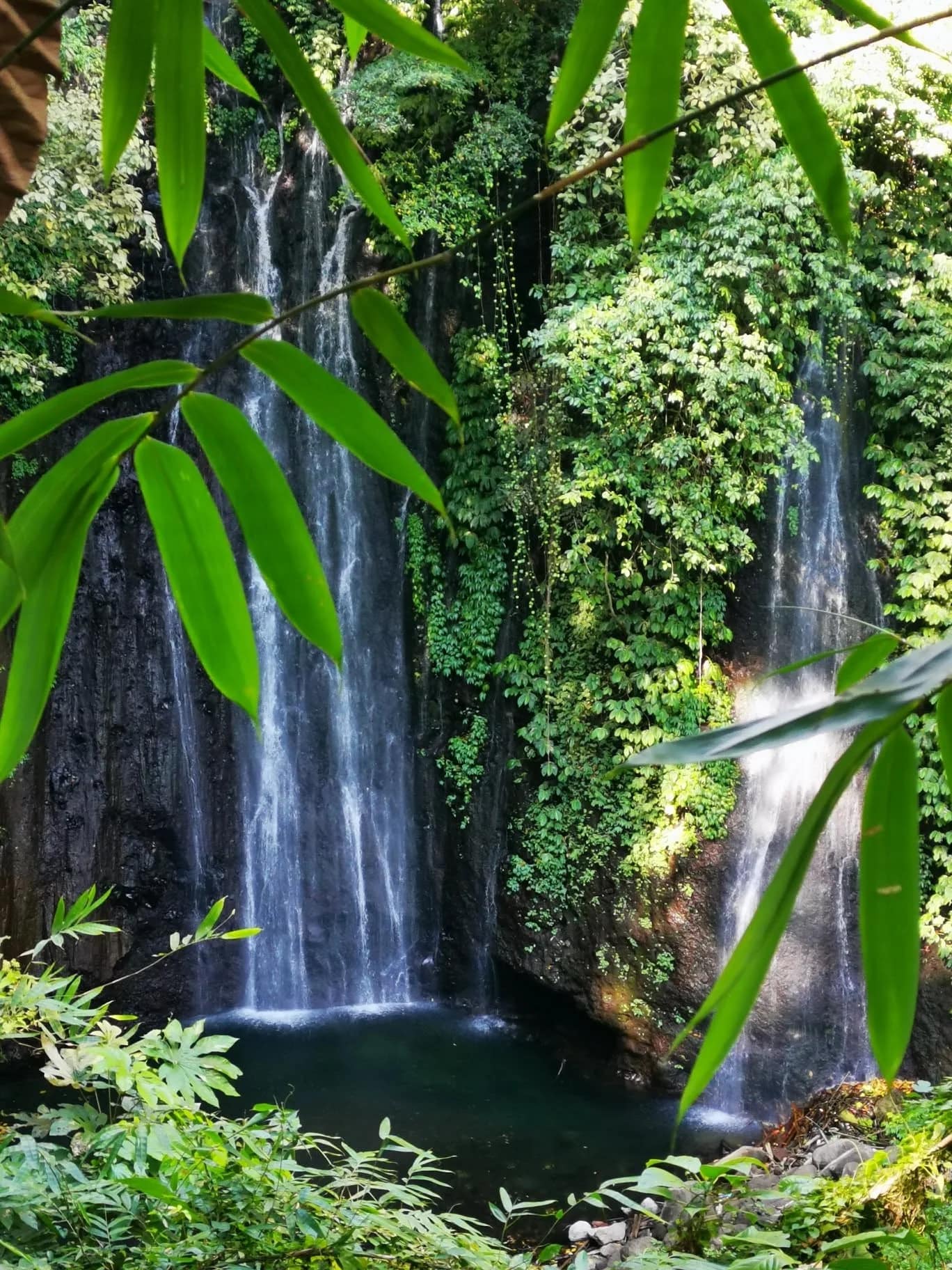 Media 3 ng Munduk Wilderness Safari Journey in North Bali