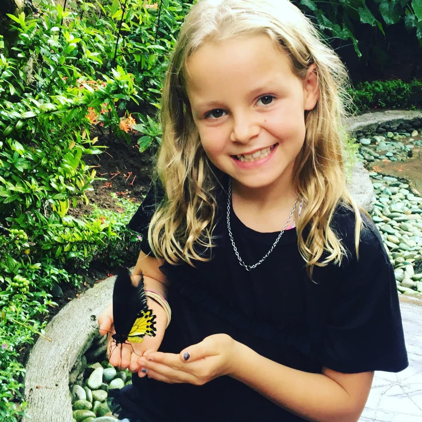 Butterfly Park in Gianyar图片 2