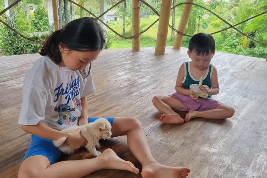 Media Puppy Yoga Bali in Ubud 2