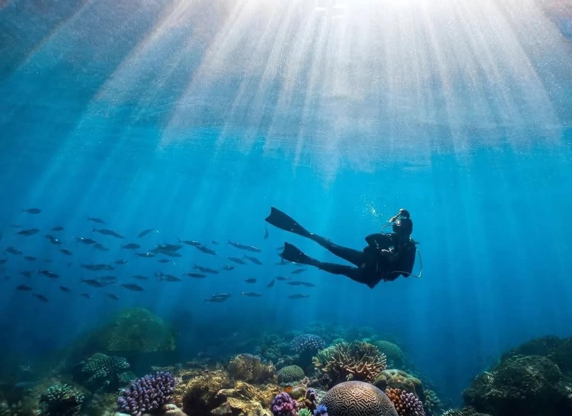 Media 2 ng French Kiss Divers Diving in Nusa Lembongan