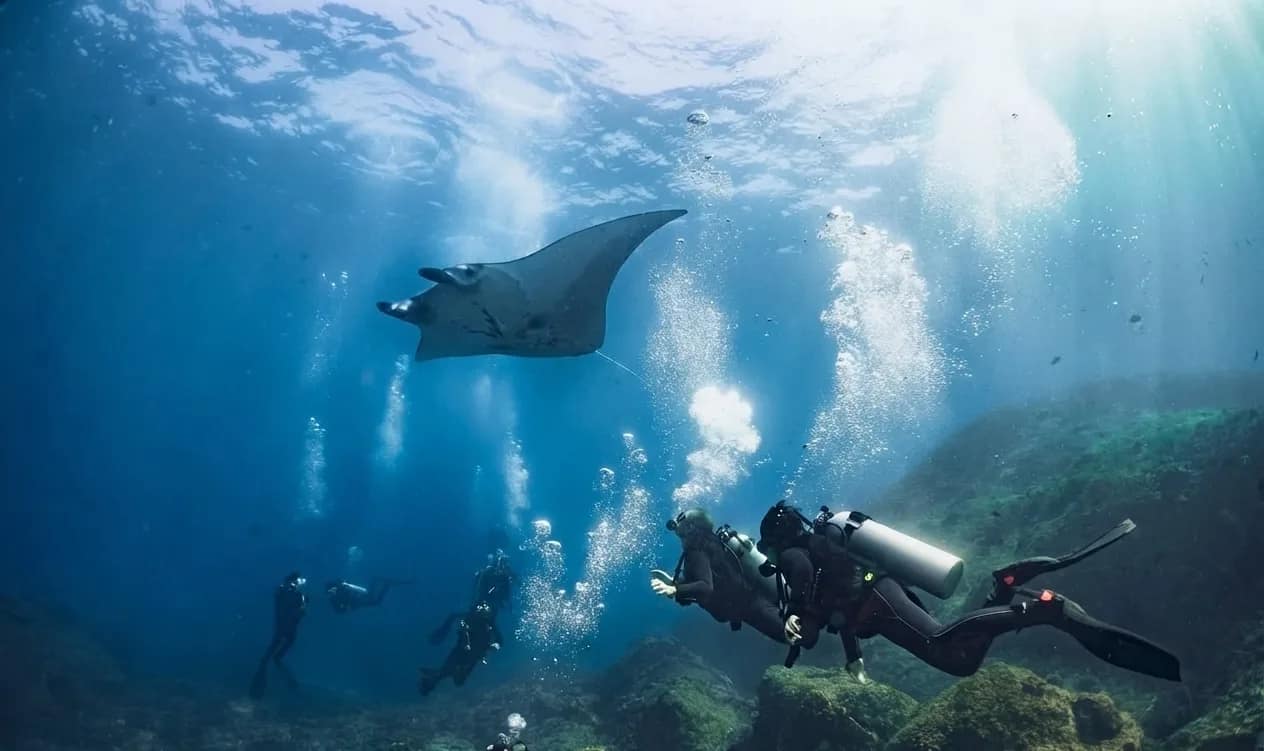 Media 4 ng French Kiss Divers Diving in Nusa Lembongan