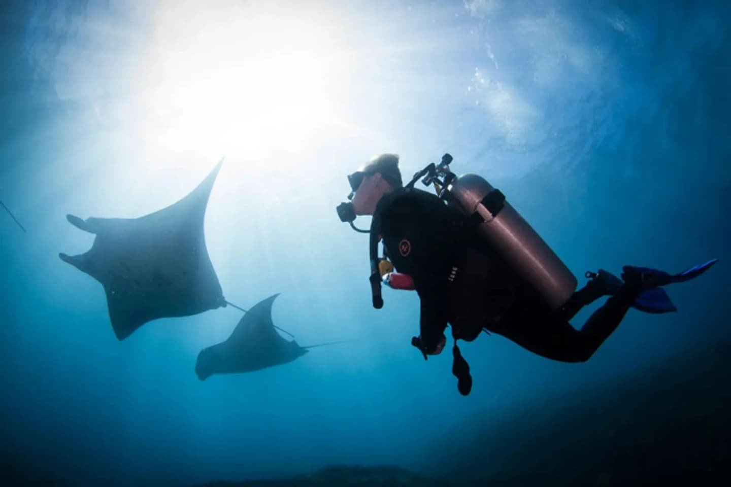 Nico Dives Cool in Sanur