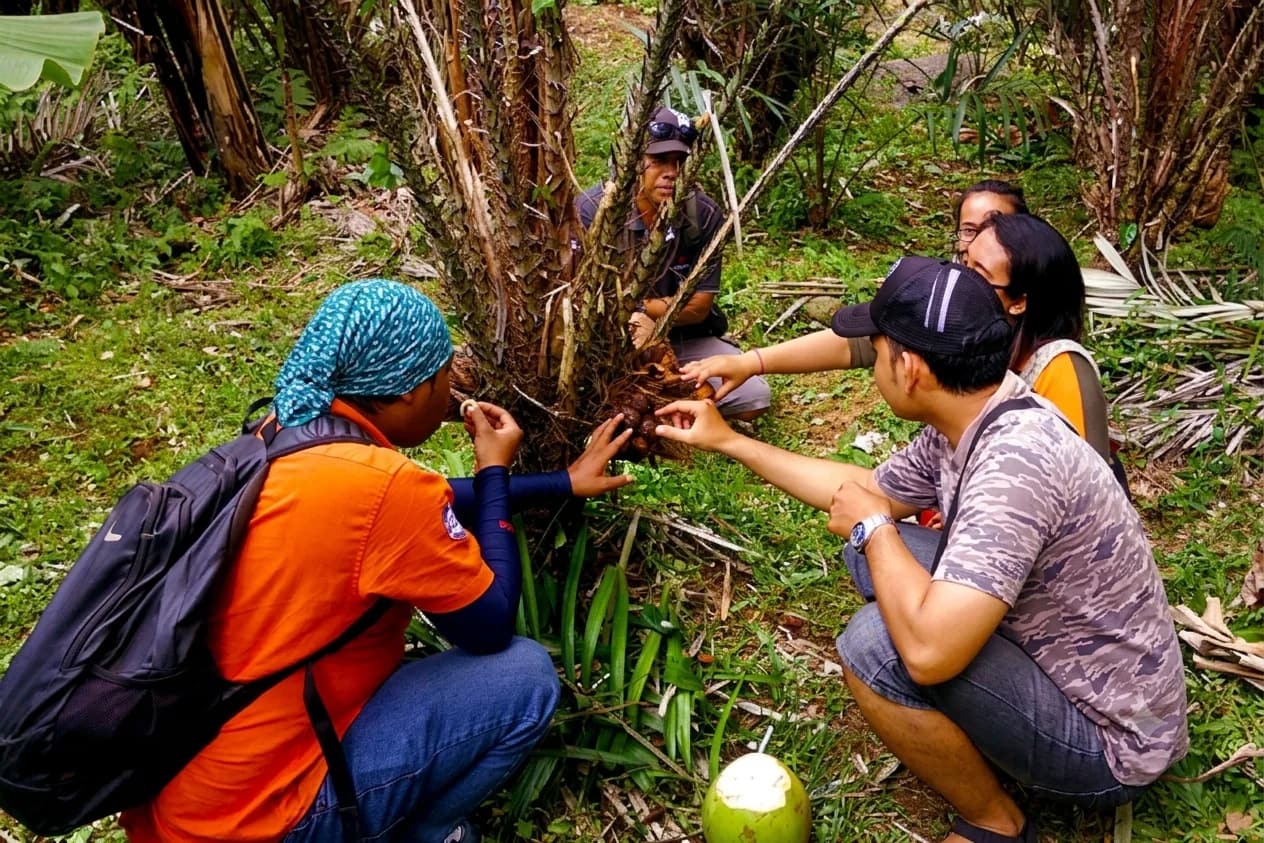 1 Hours Salak Agro Sibetan Village Farm Walking Tour and Fruit Harvesting