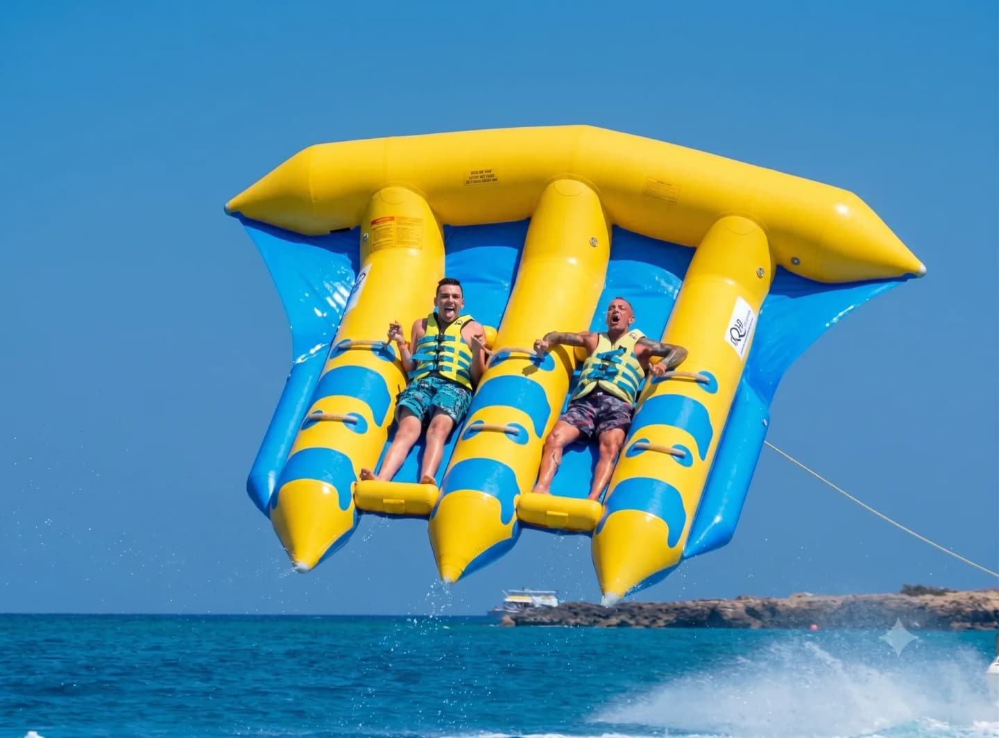 Flying Fish