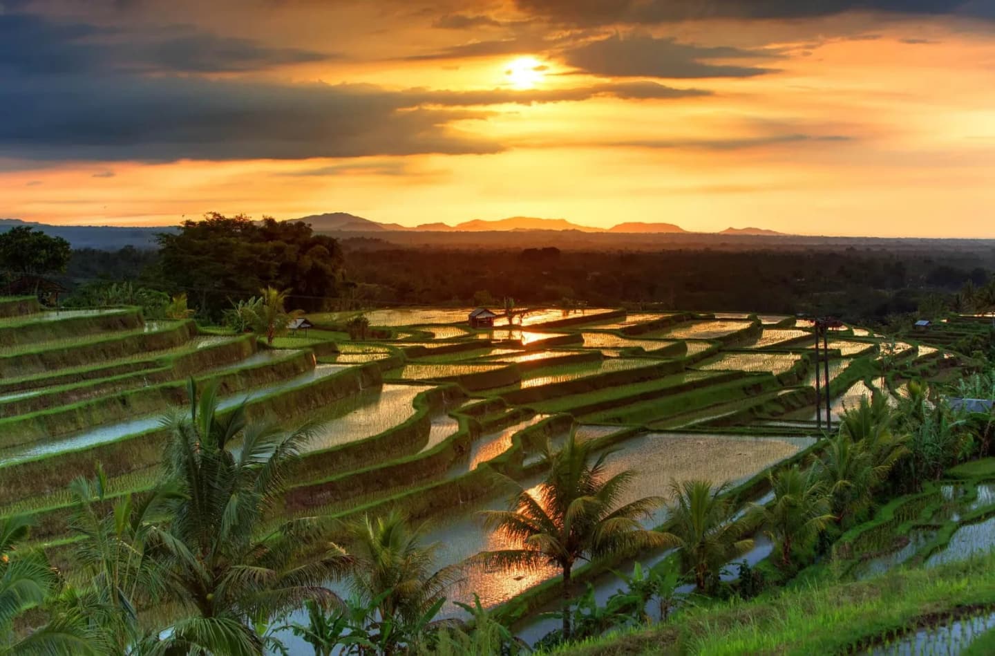 Balinese Cooking & Culture Experience