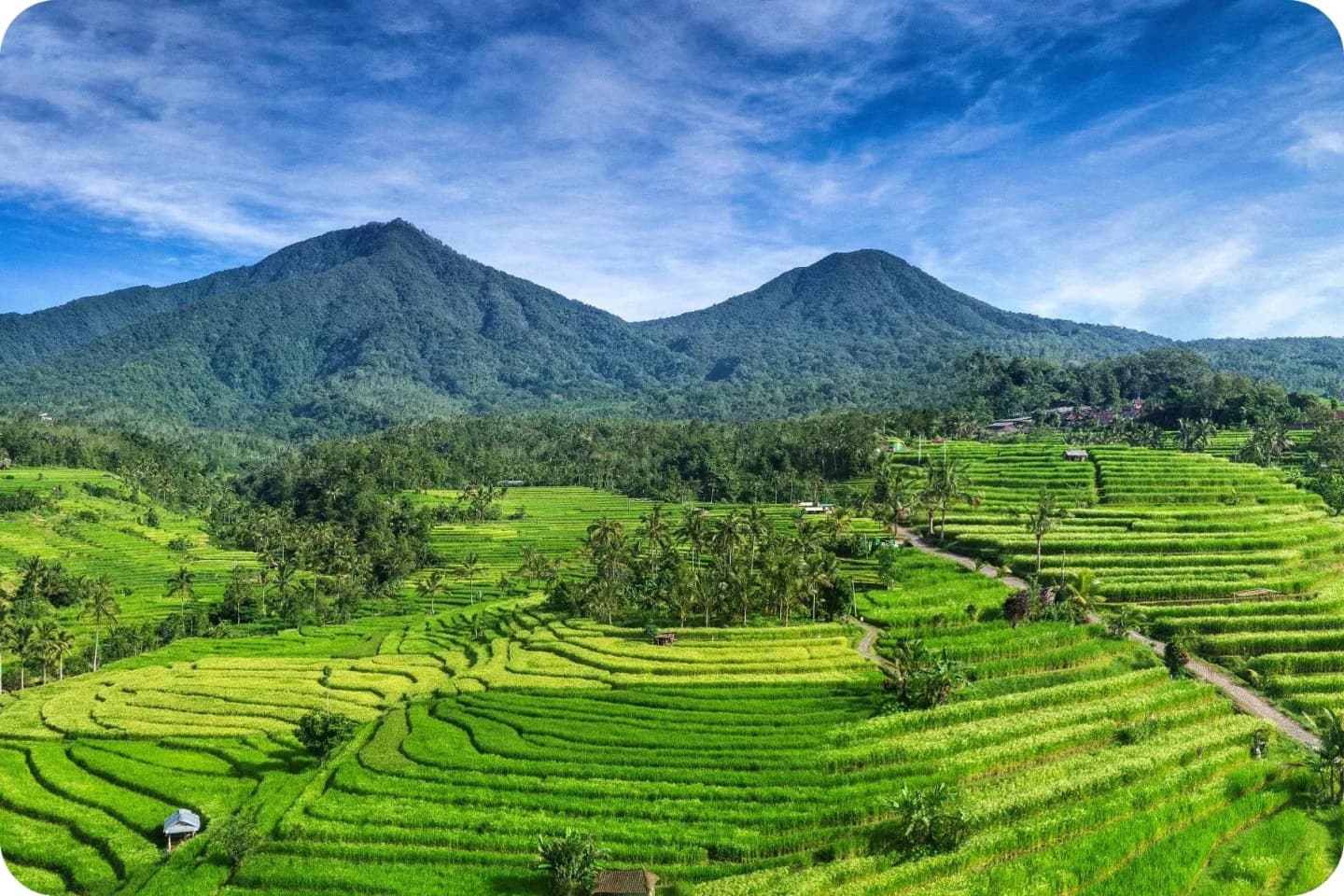 Rice Terrace & Nature Tour