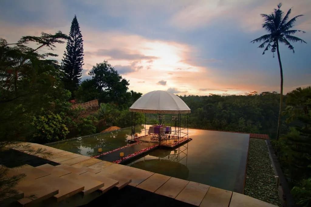 Jungle Retreat gallery 1