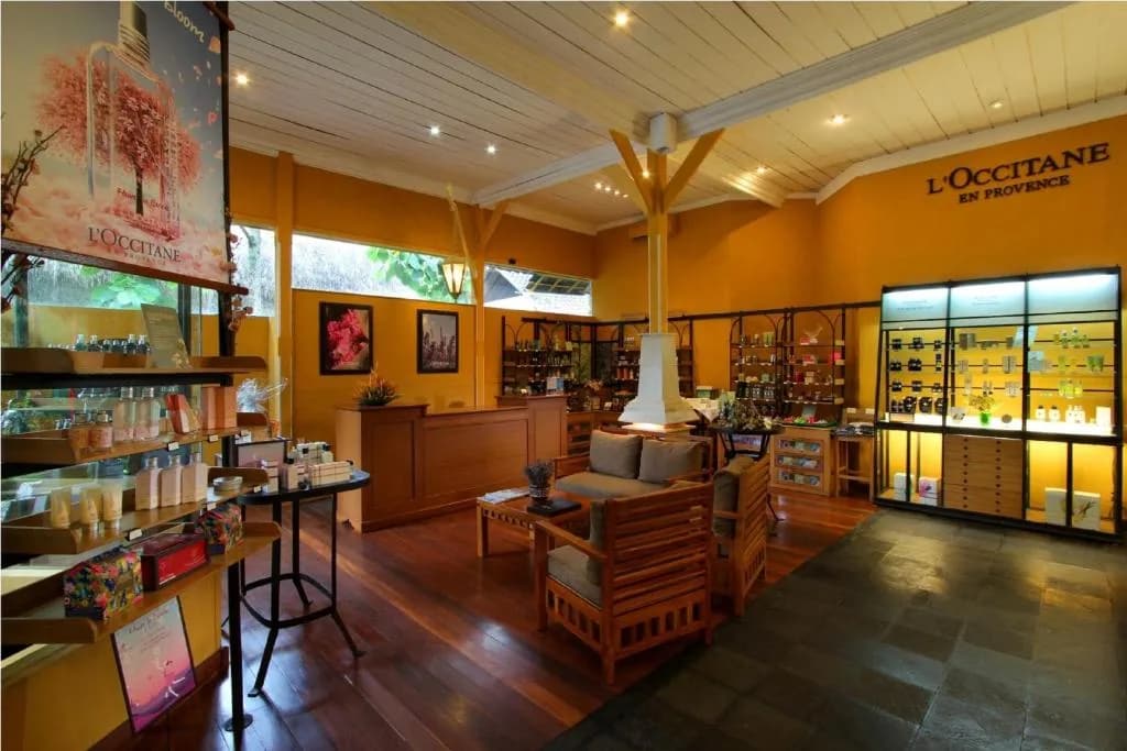 Jungle Retreat gallery 2