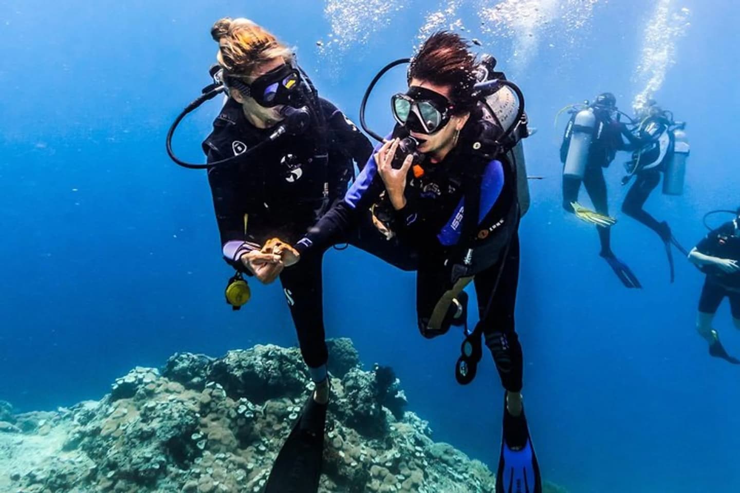 Sharing Trip Fun Dive Certified In Menjangan Island