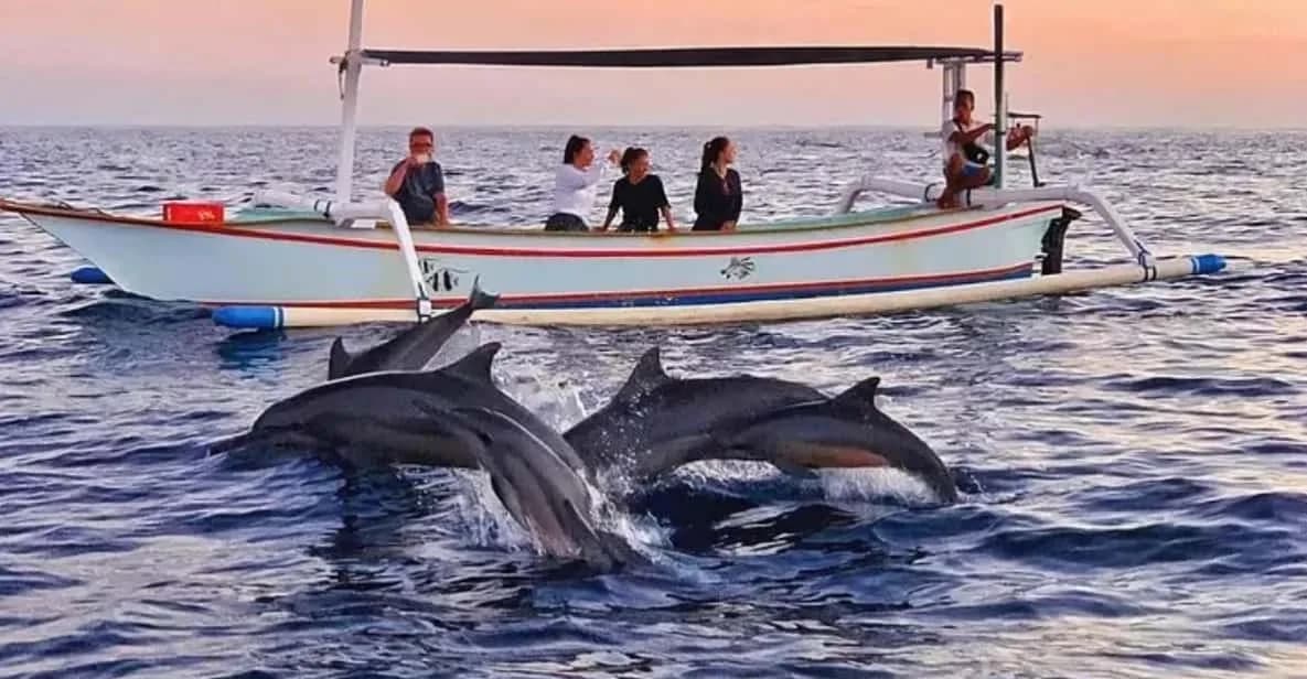 Dolphin & Coral Reef Snorkeling Sharing Boat
