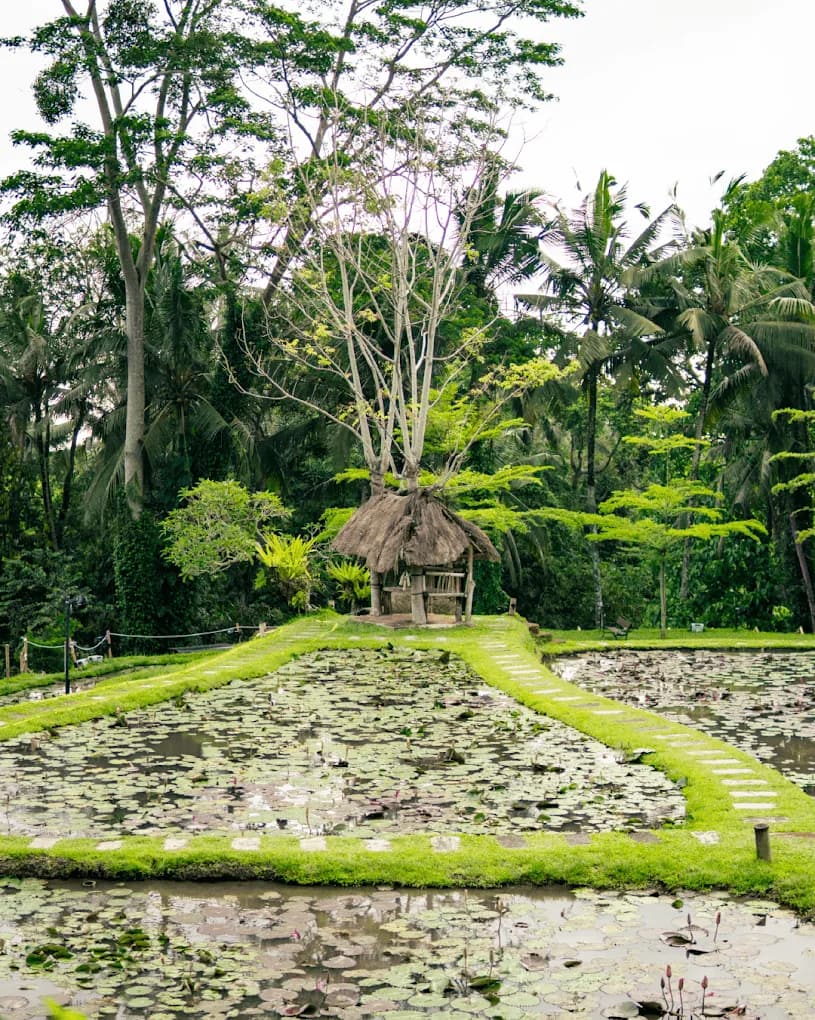Greenkubu Restaurant and Swing Ubud