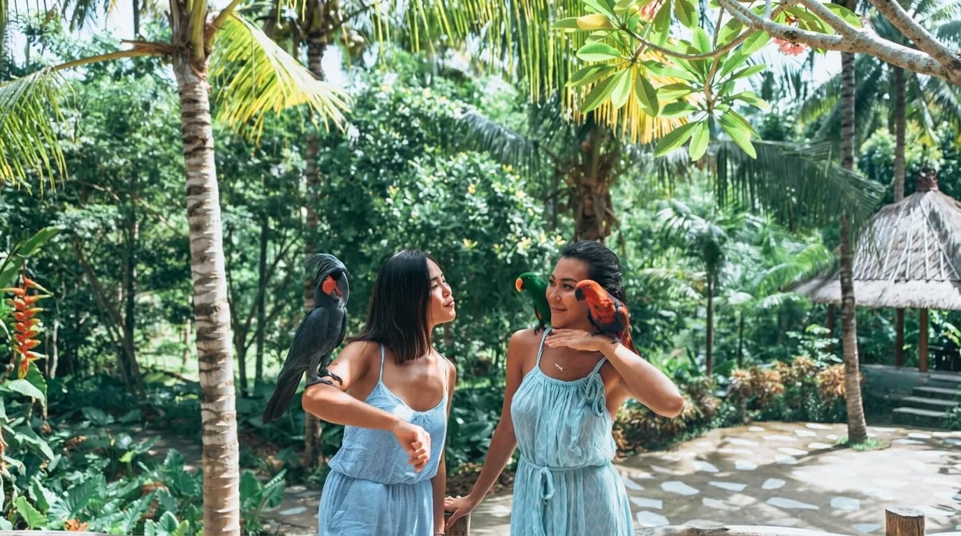 Wildlife Park in Lombok