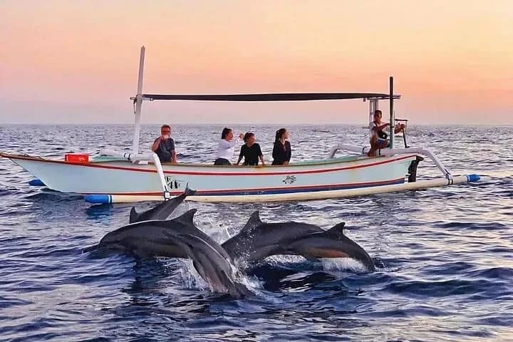 Bali Dolphin, Waterfall & Temple Experience