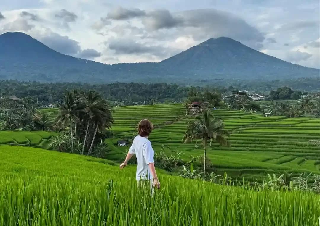 Jatiluwih Rice Terrace & Nature Tour