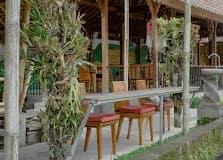 Alam Padi Ubud