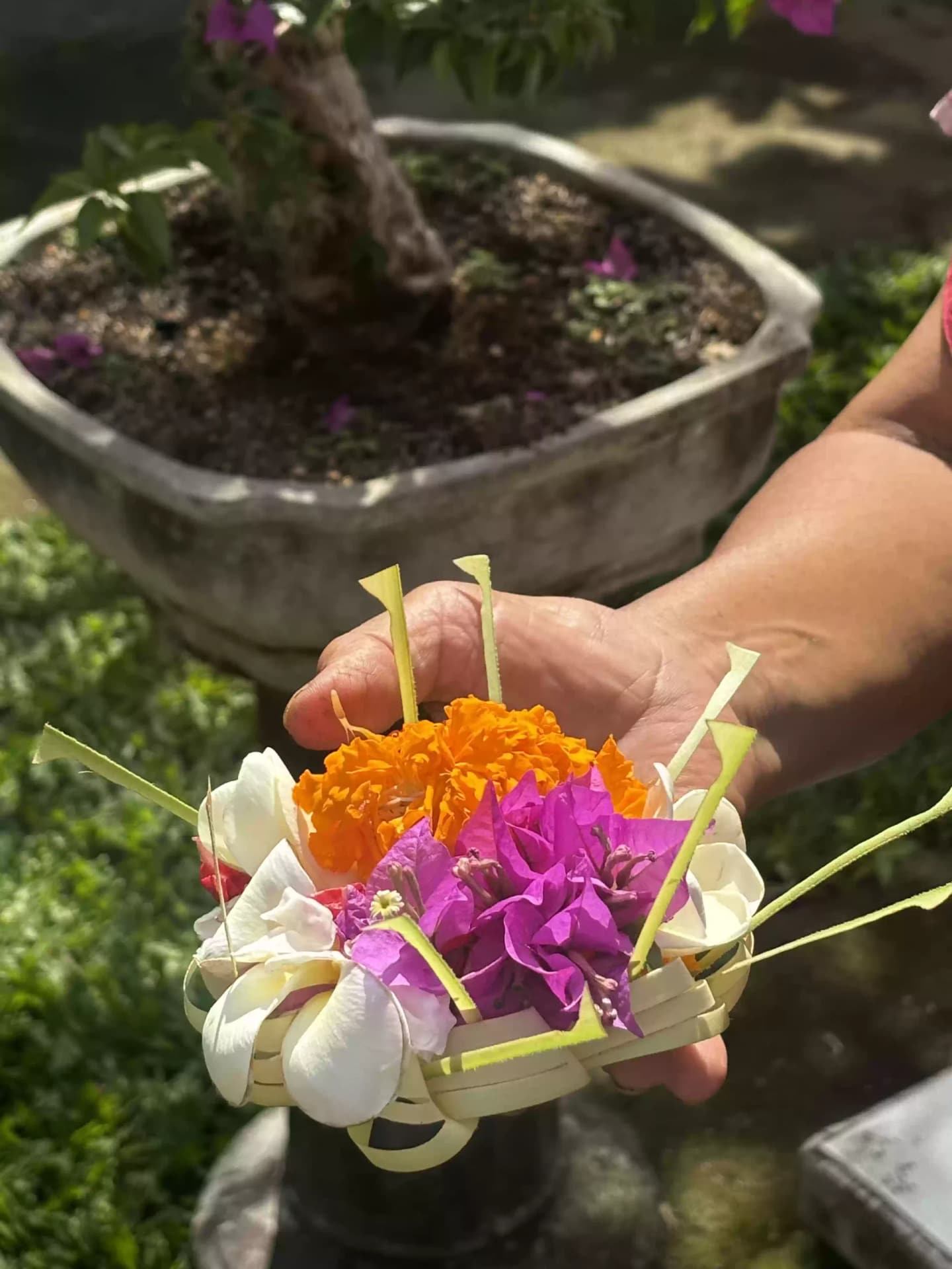 Five Arts Studio in Ubud